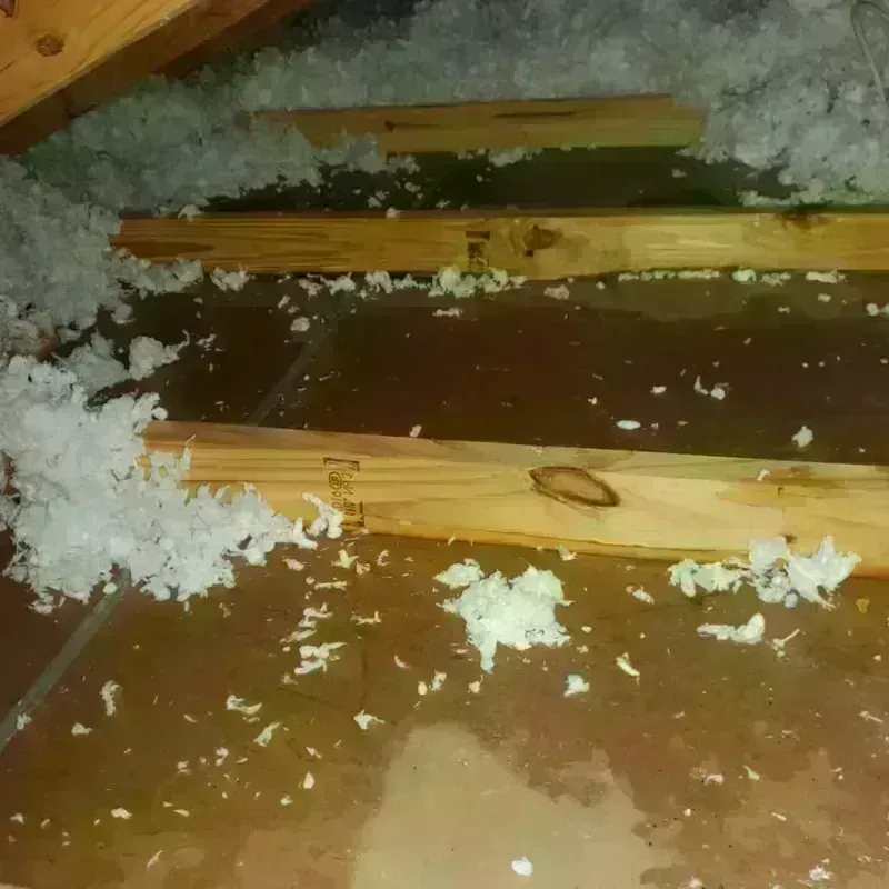 Attic Water Damage in White Bluff, TN